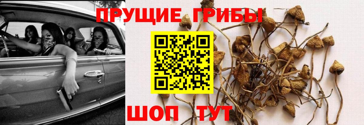 Галлюциногенные грибы мицелий Серов